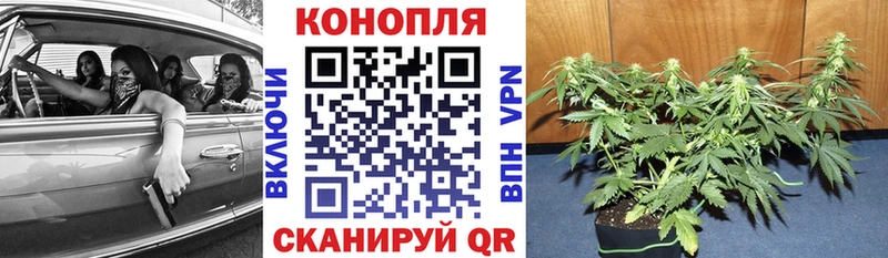 закладки  Невельск  нарко площадка формула  Шишки марихуана индика 